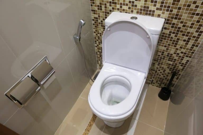 Clean Toilet