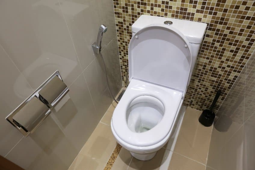 Clean Toilet