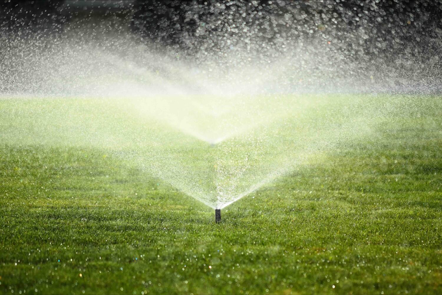 Sprinklers